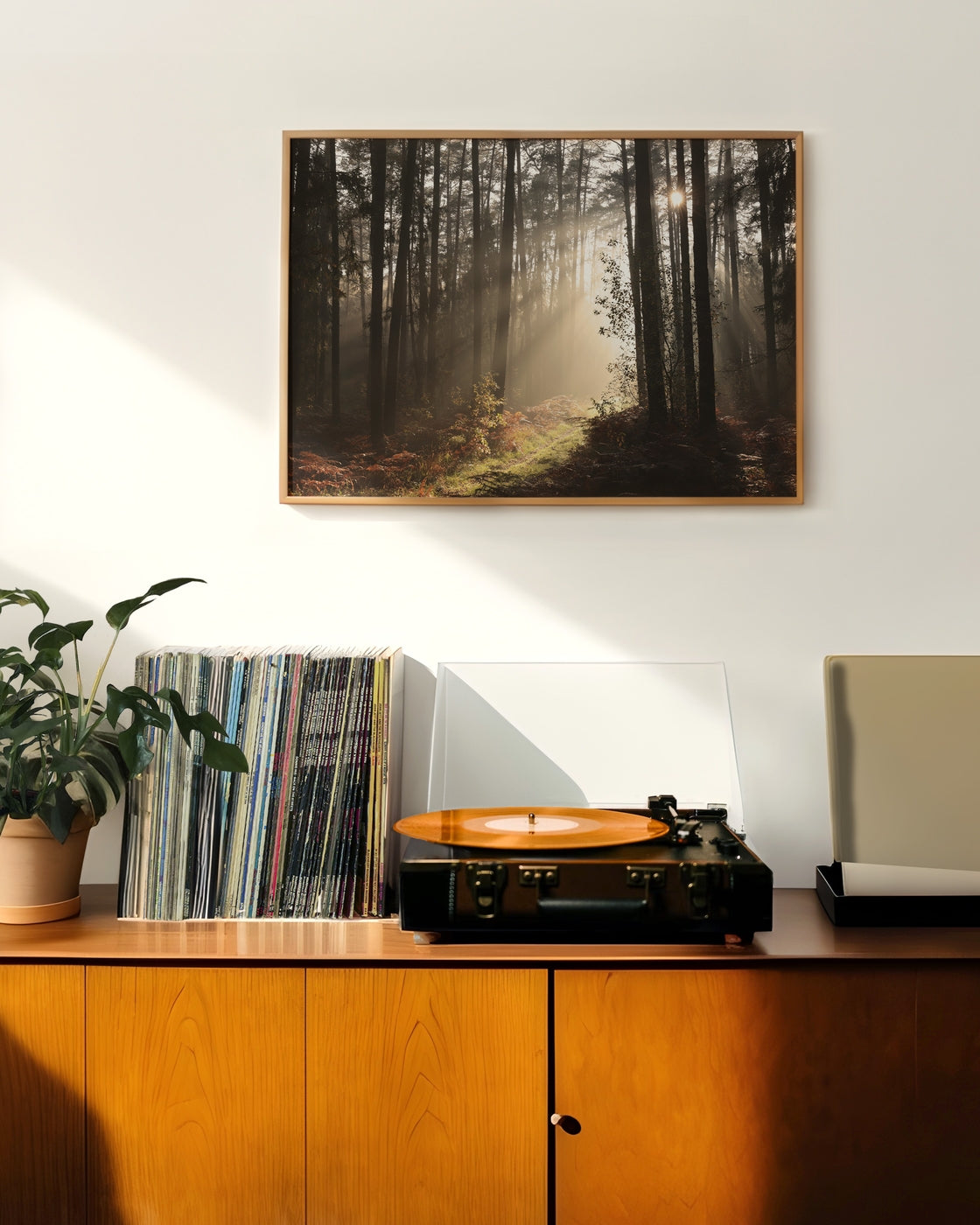 canvas