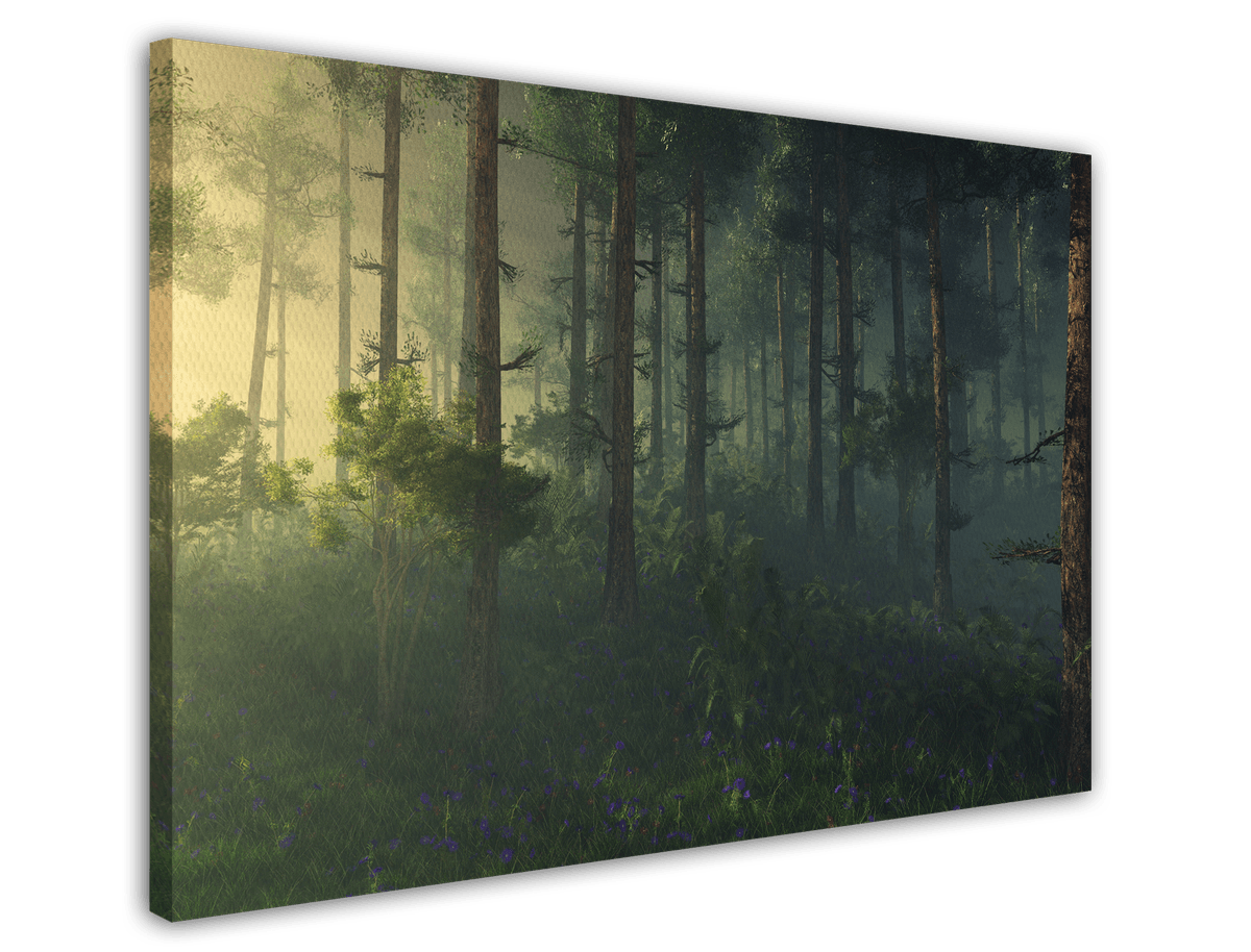 stretched-canvas