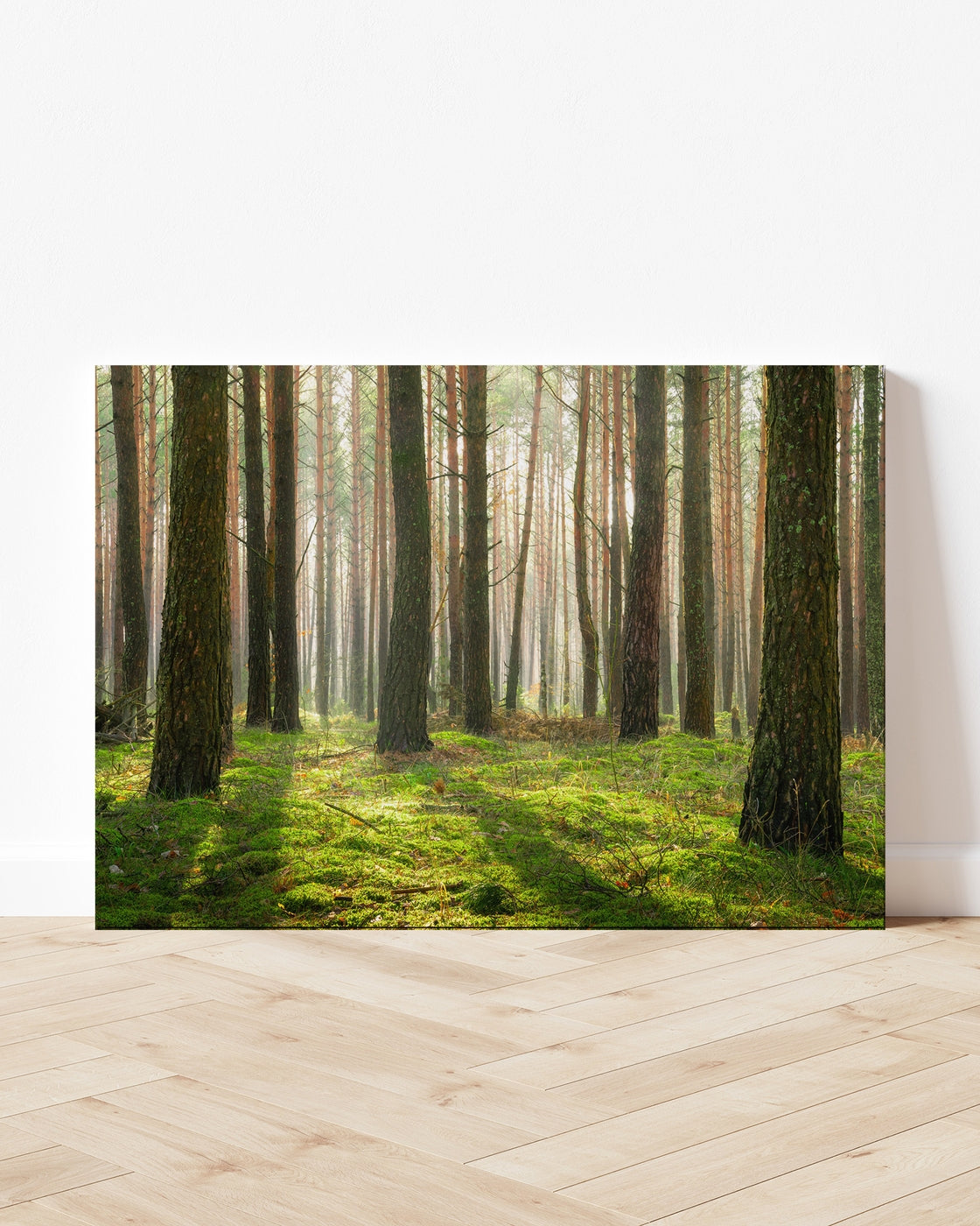 stretched-canvas