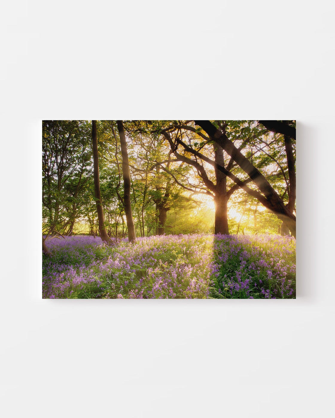 stretched-canvas