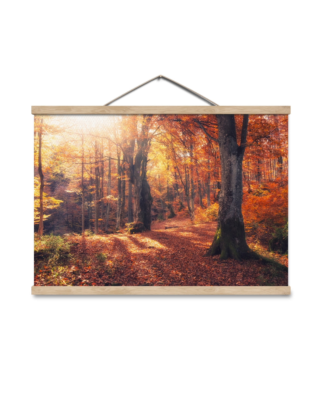 canvas