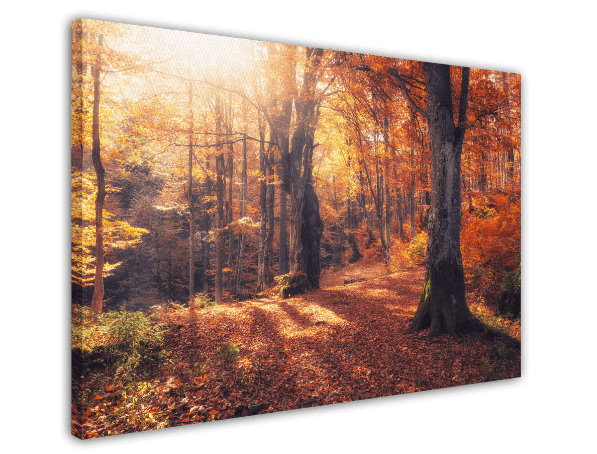 stretched-canvas