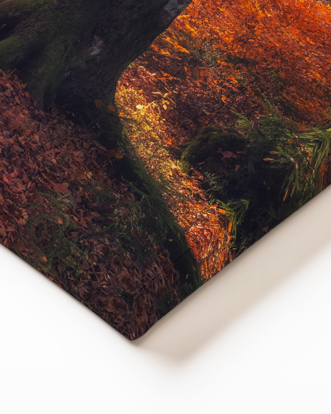 stretched-canvas