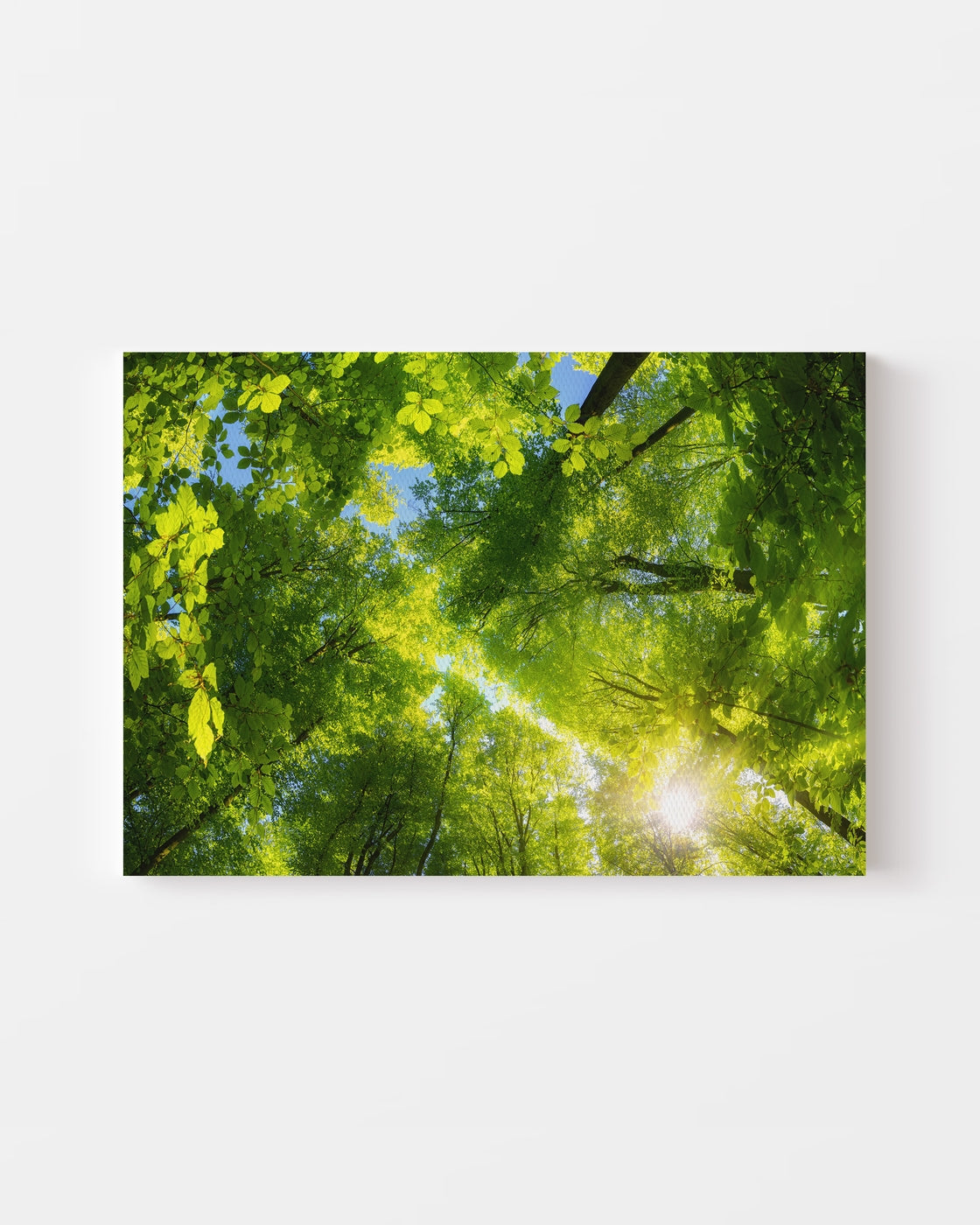stretched-canvas