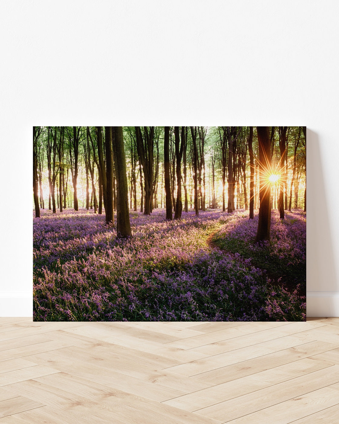 stretched-canvas