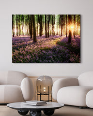After Hover: Blumenmeer im Wald