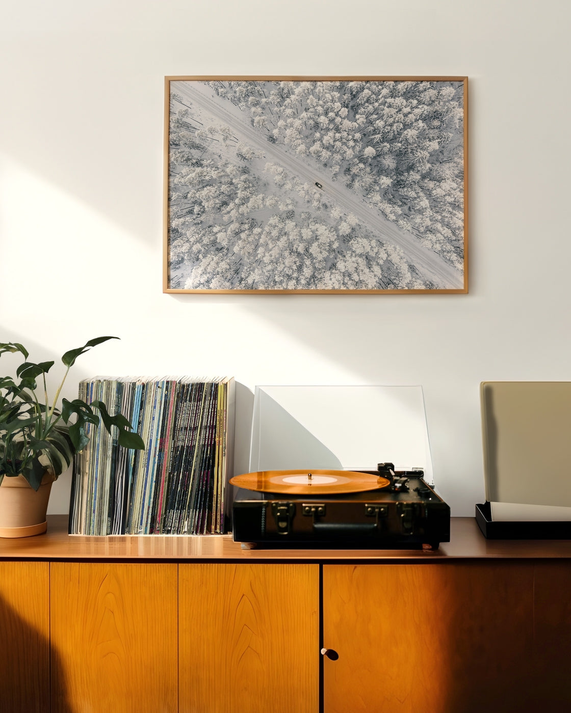canvas