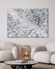 After Hover: Waldkronen im Winter
