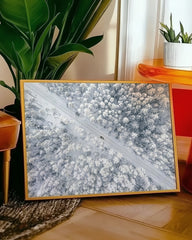 After Hover: Waldkronen im Winter