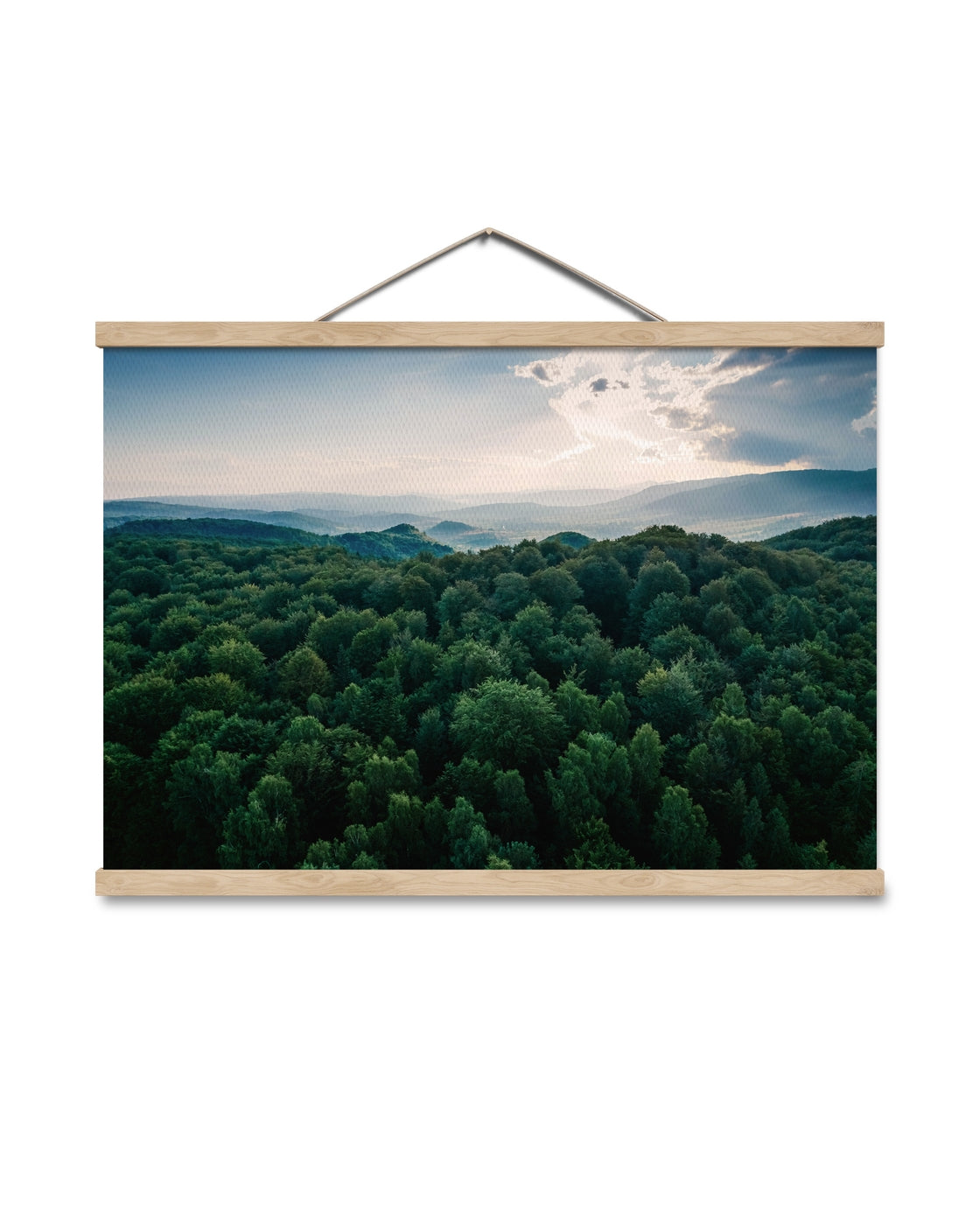 canvas