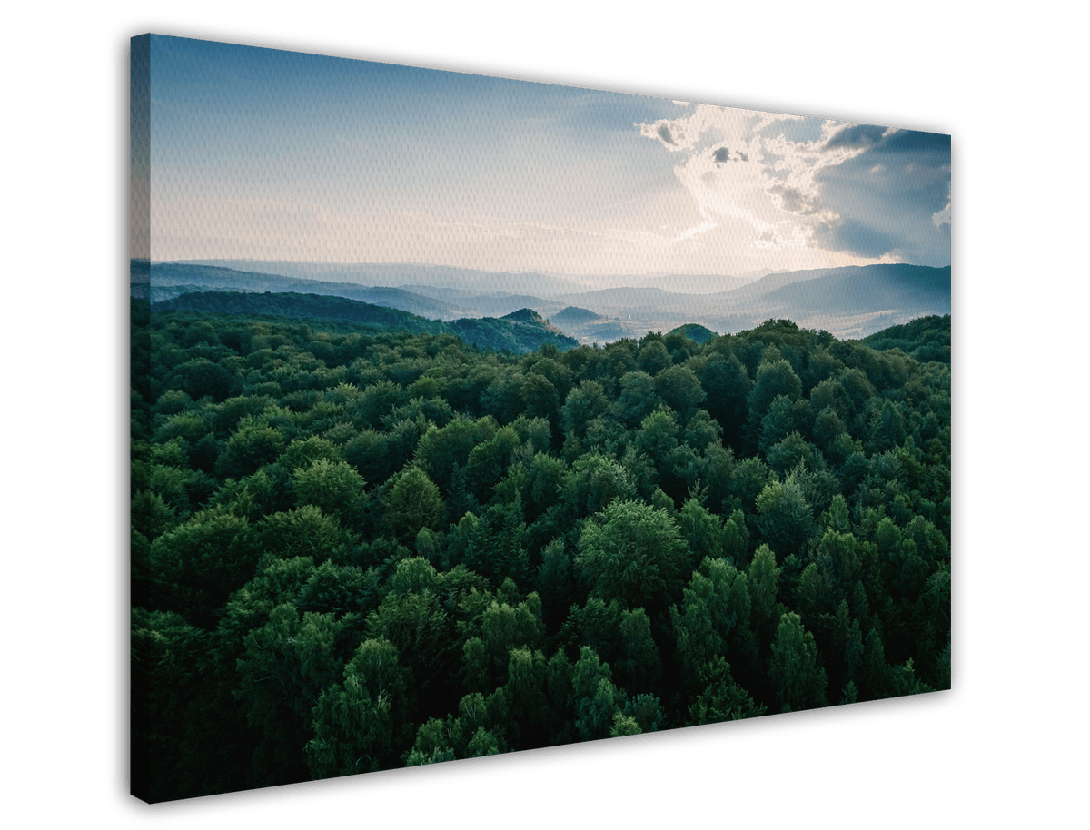 stretched-canvas