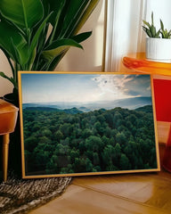 After Hover: Sonne über grünem Wald von oben