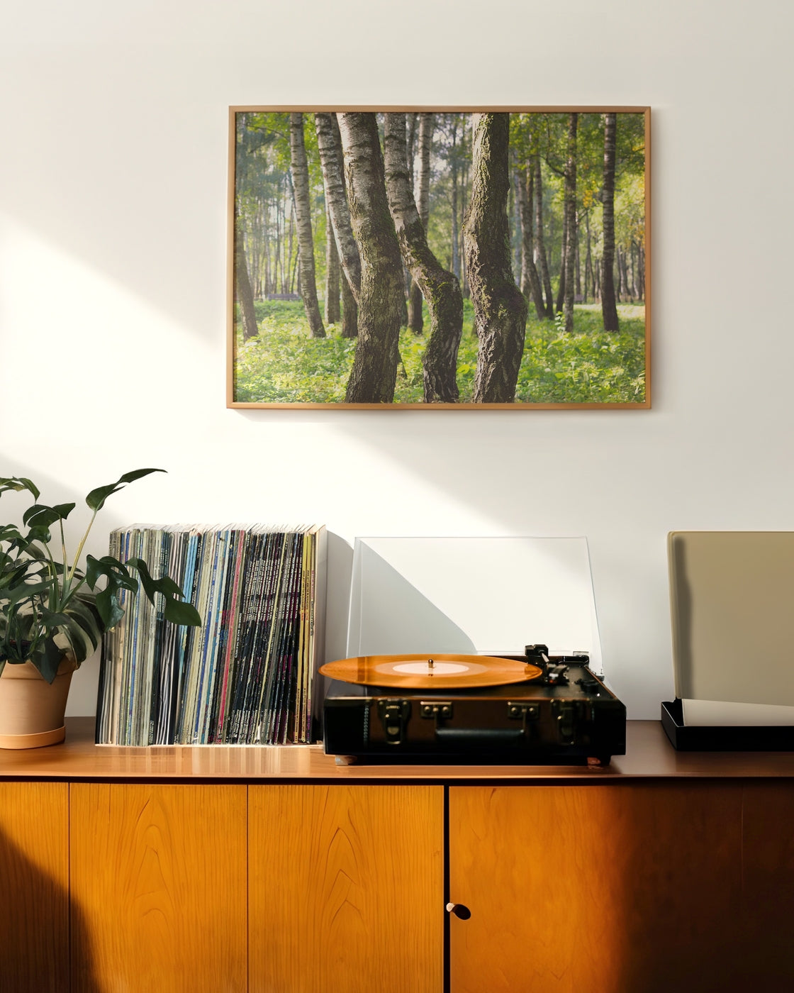 canvas