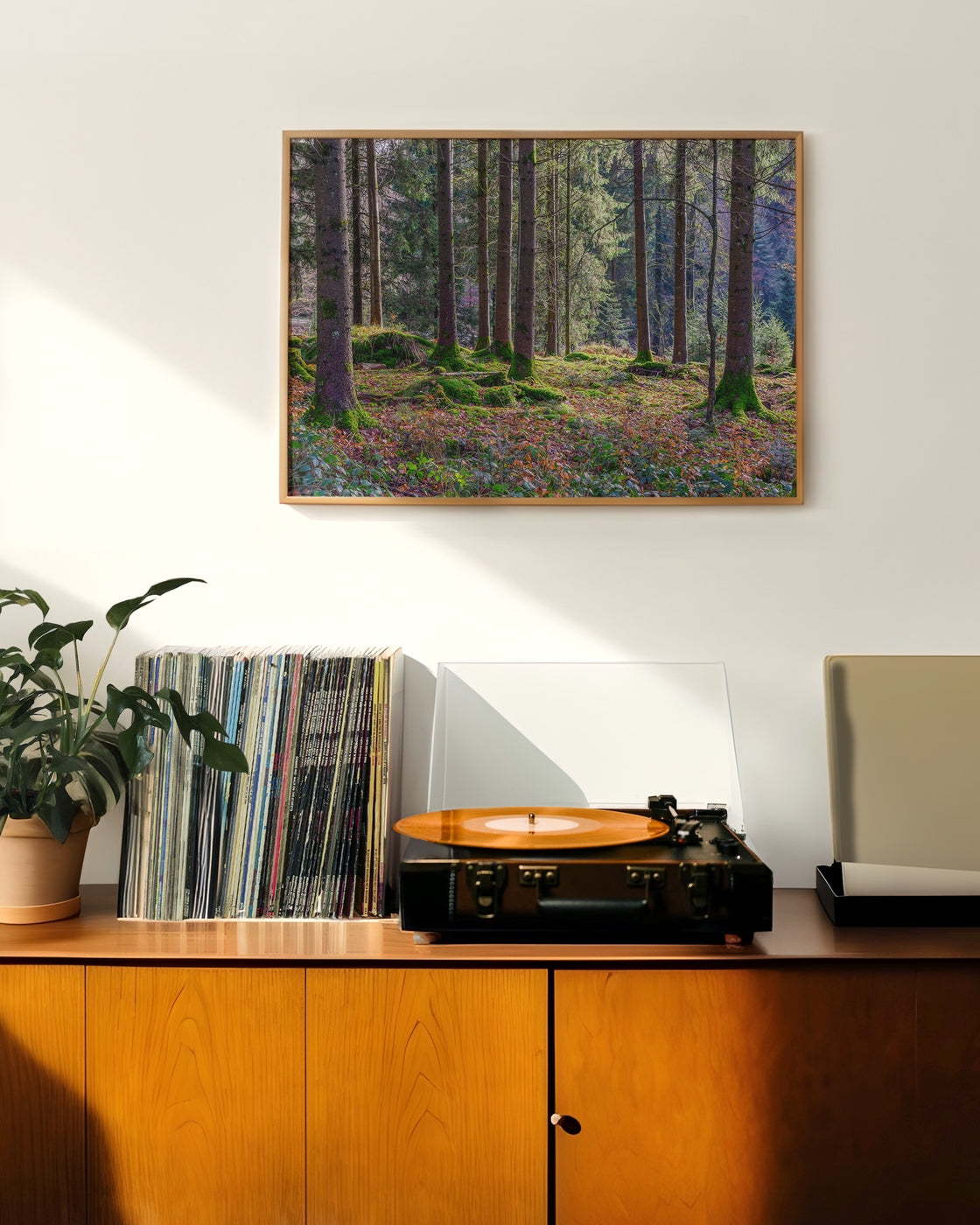 canvas