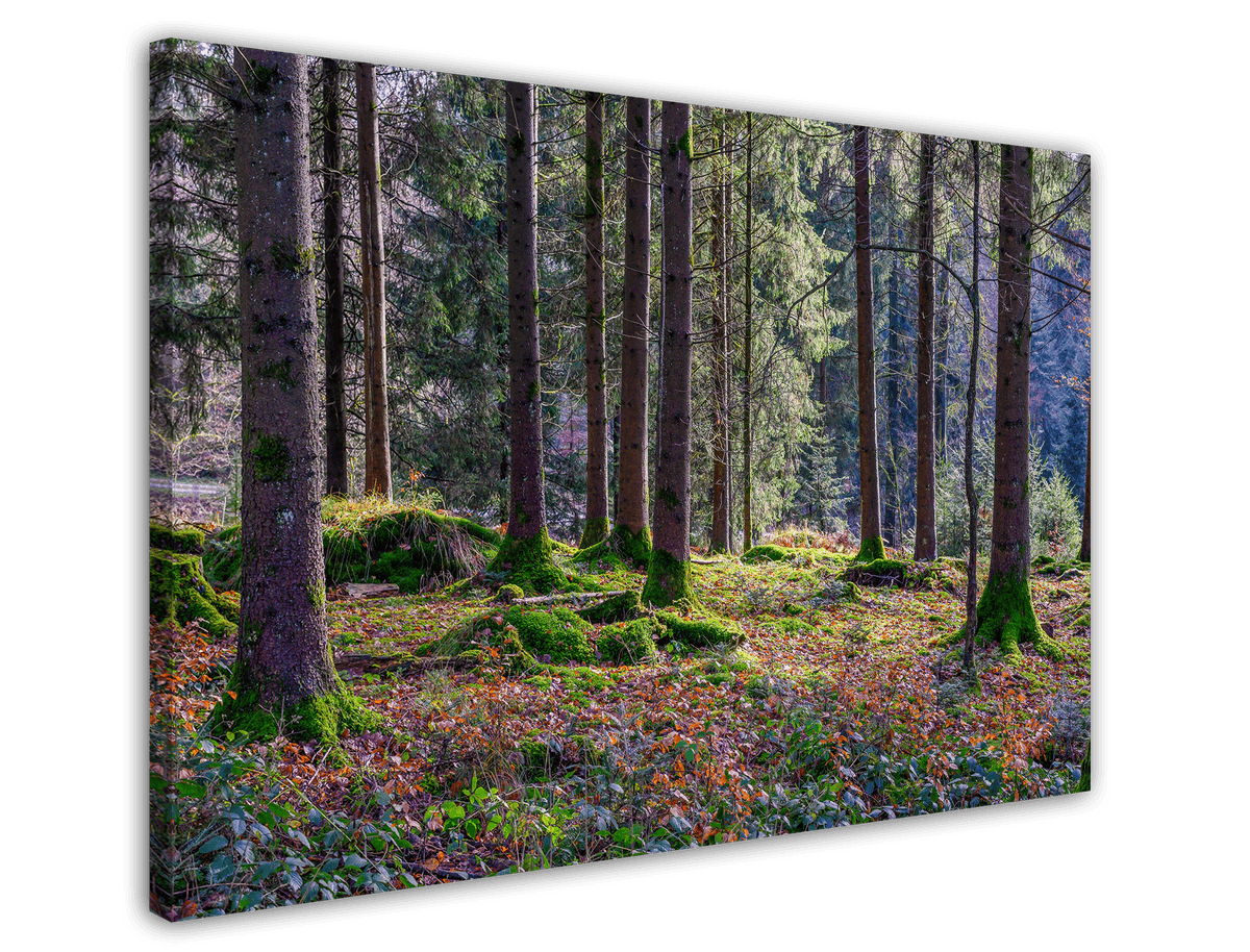stretched-canvas