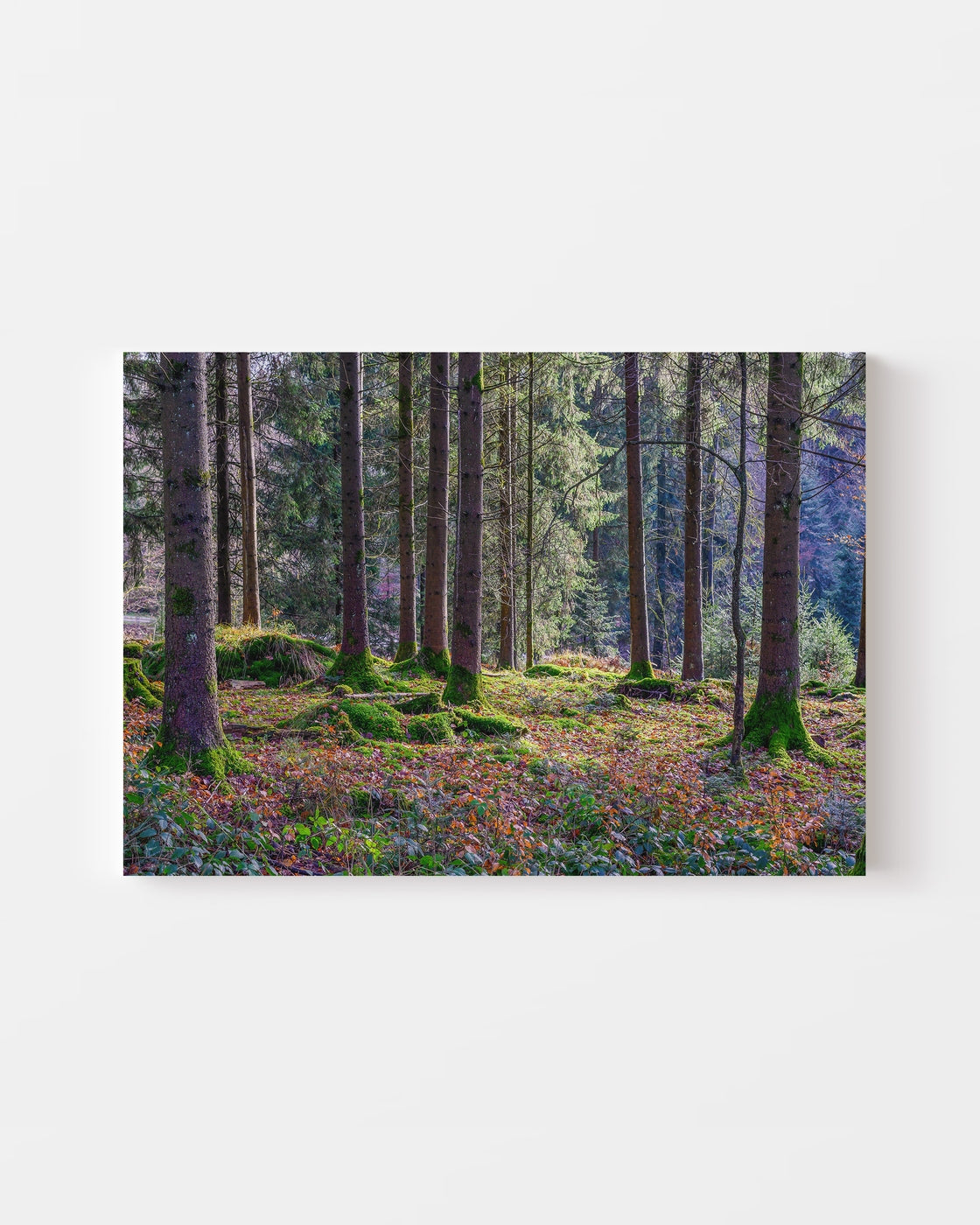 stretched-canvas