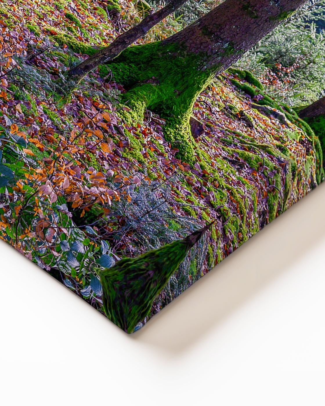 stretched-canvas