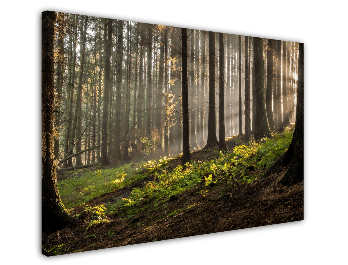 stretched-canvas