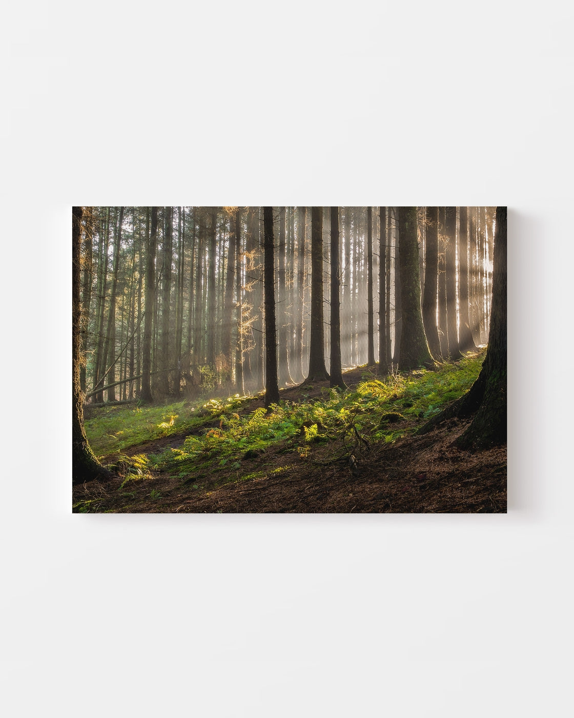 stretched-canvas