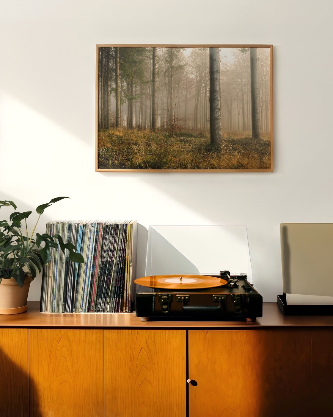 canvas