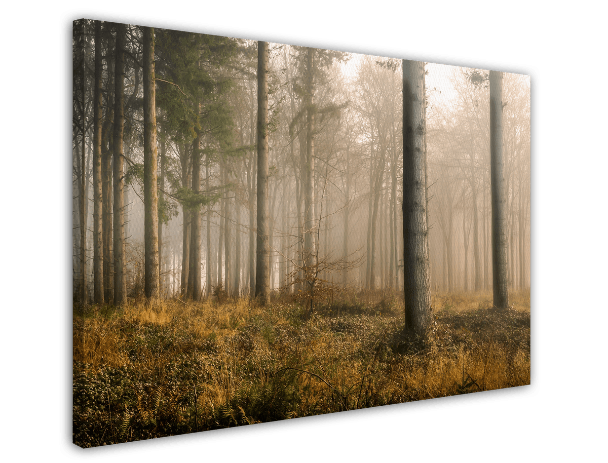 stretched-canvas