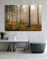 After Hover: Wald