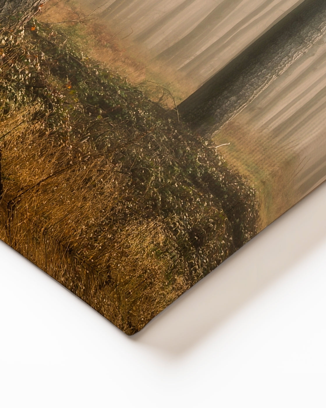 stretched-canvas
