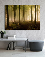 After Hover: Wald