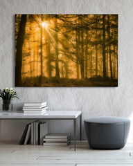 After Hover: Wald