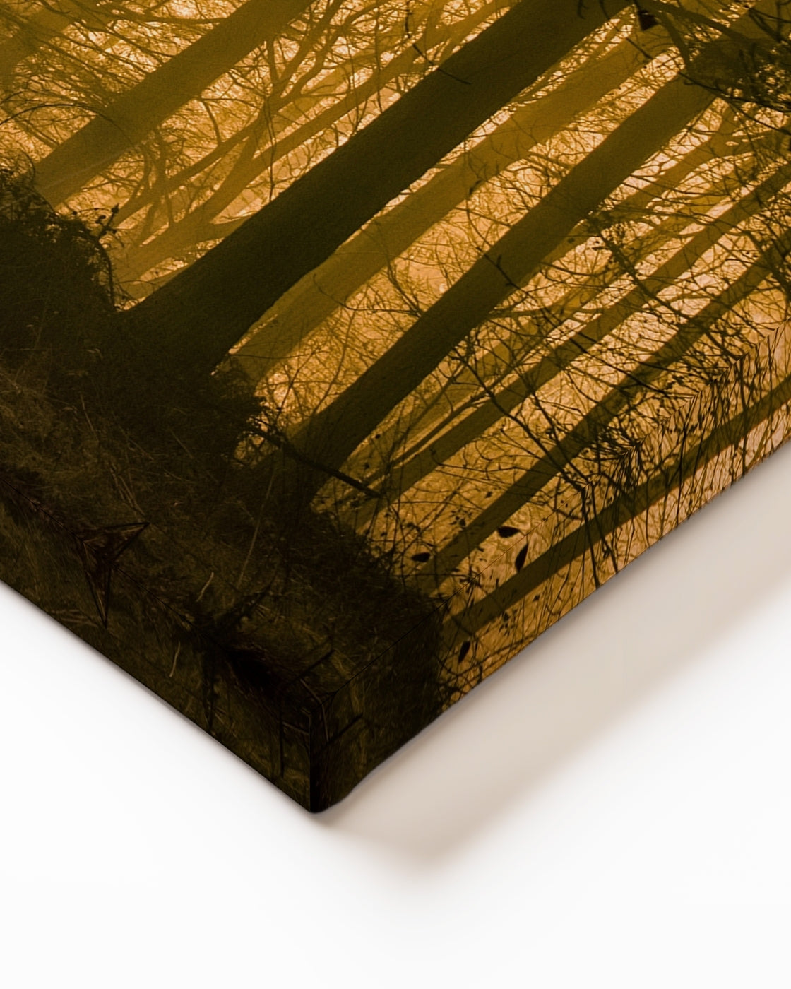 stretched-canvas