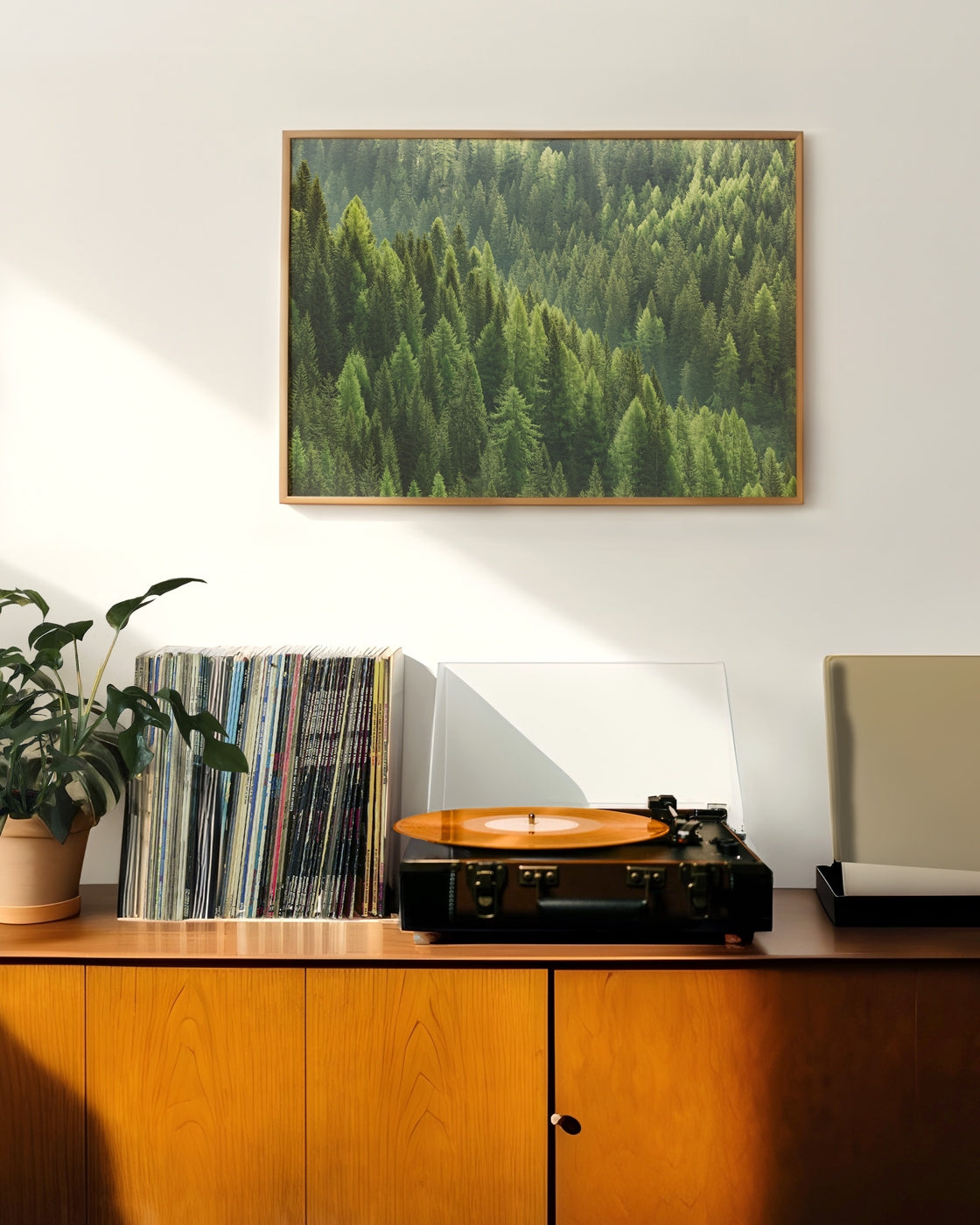 canvas