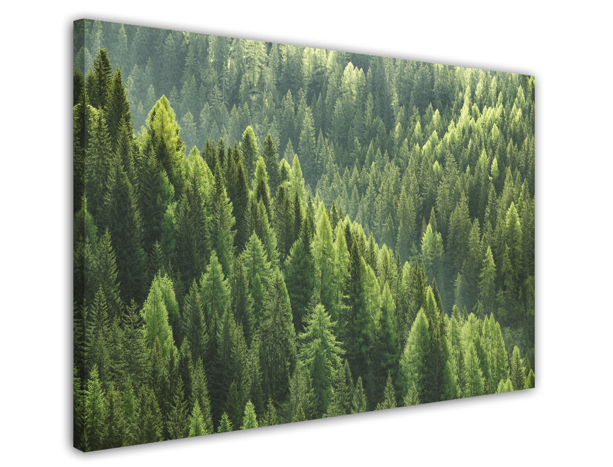 stretched-canvas