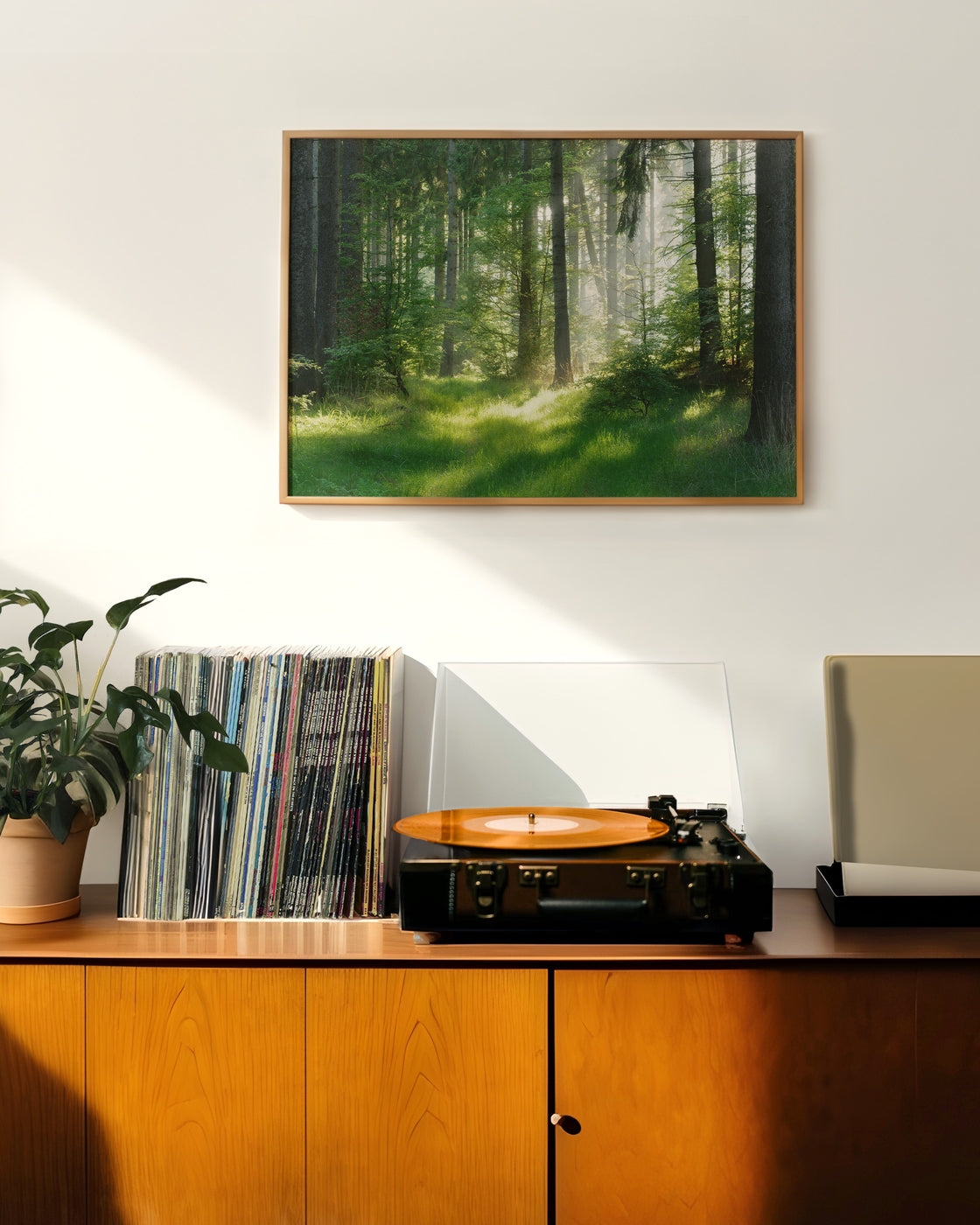 canvas
