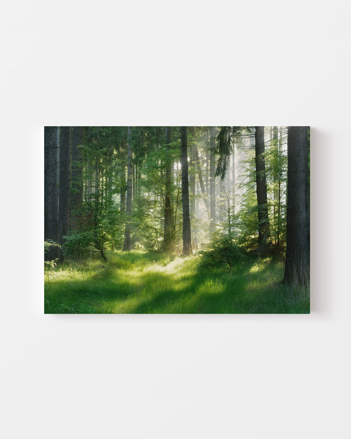 stretched-canvas