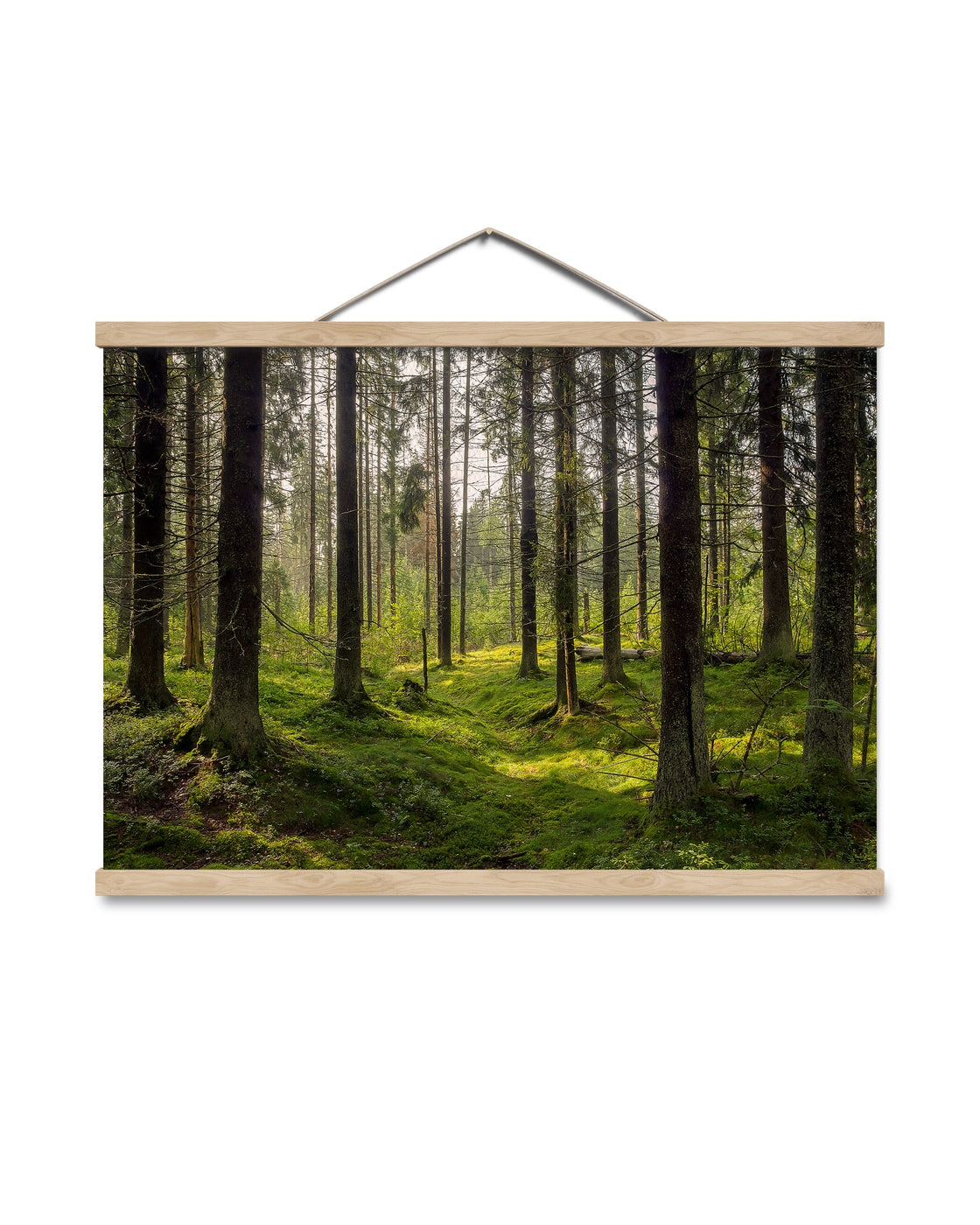 canvas