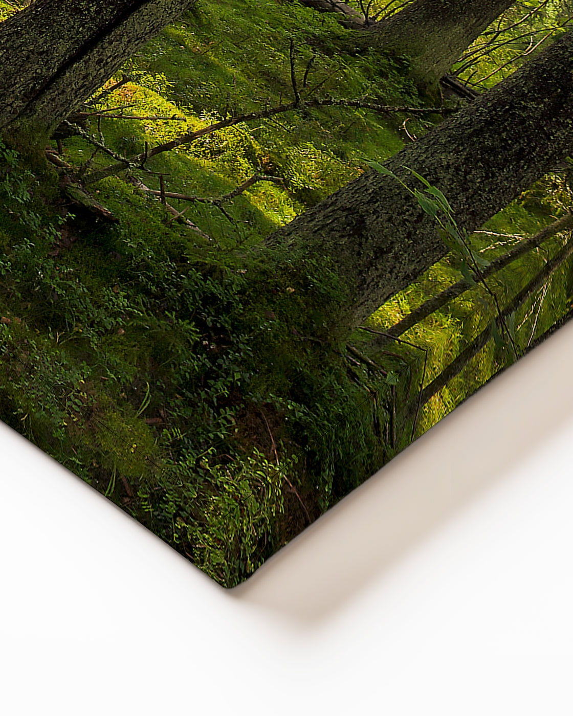 stretched-canvas