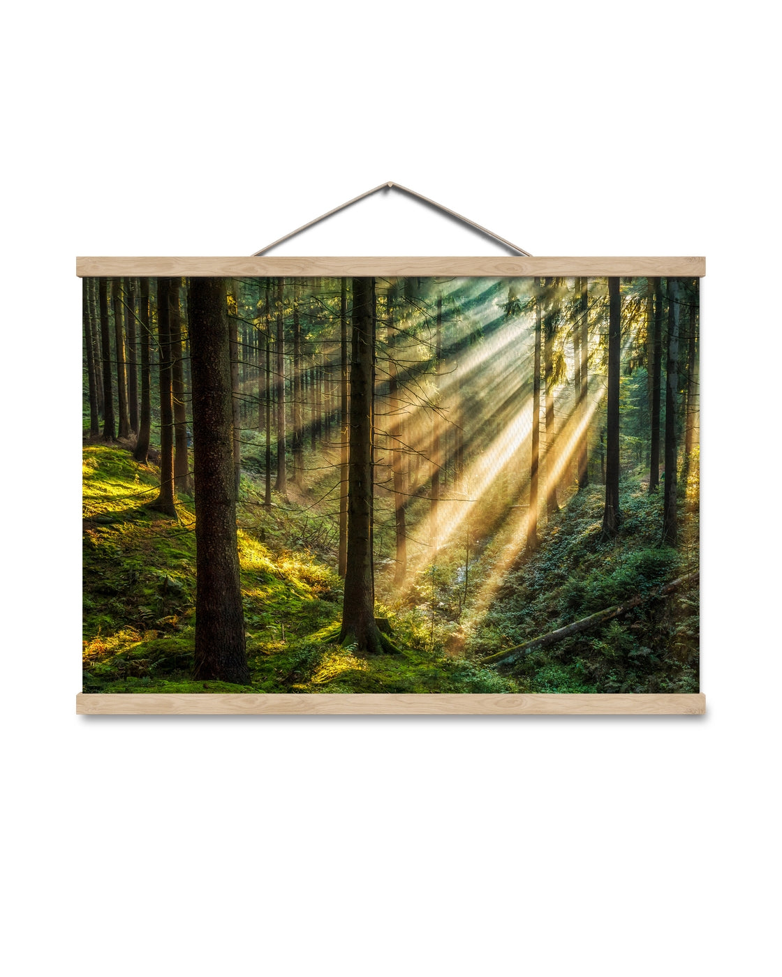 canvas