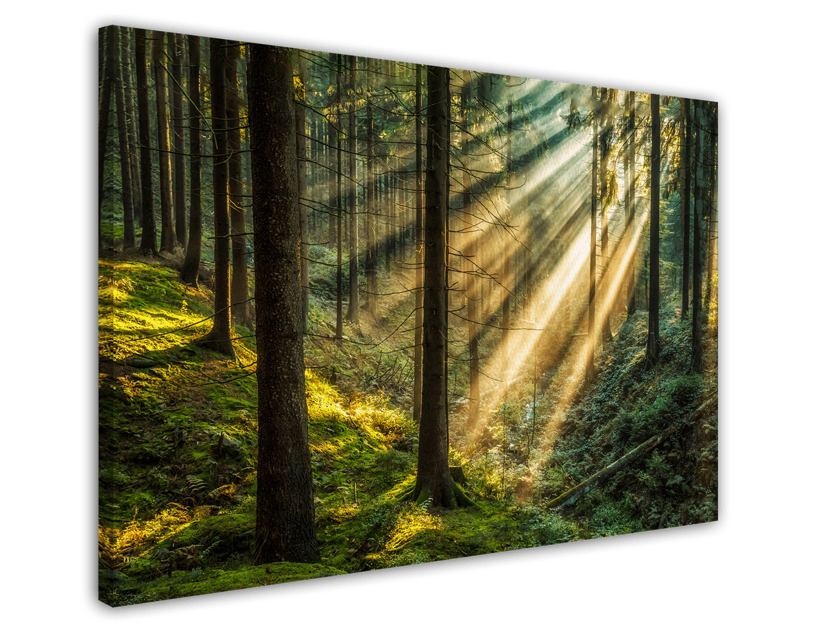 stretched-canvas