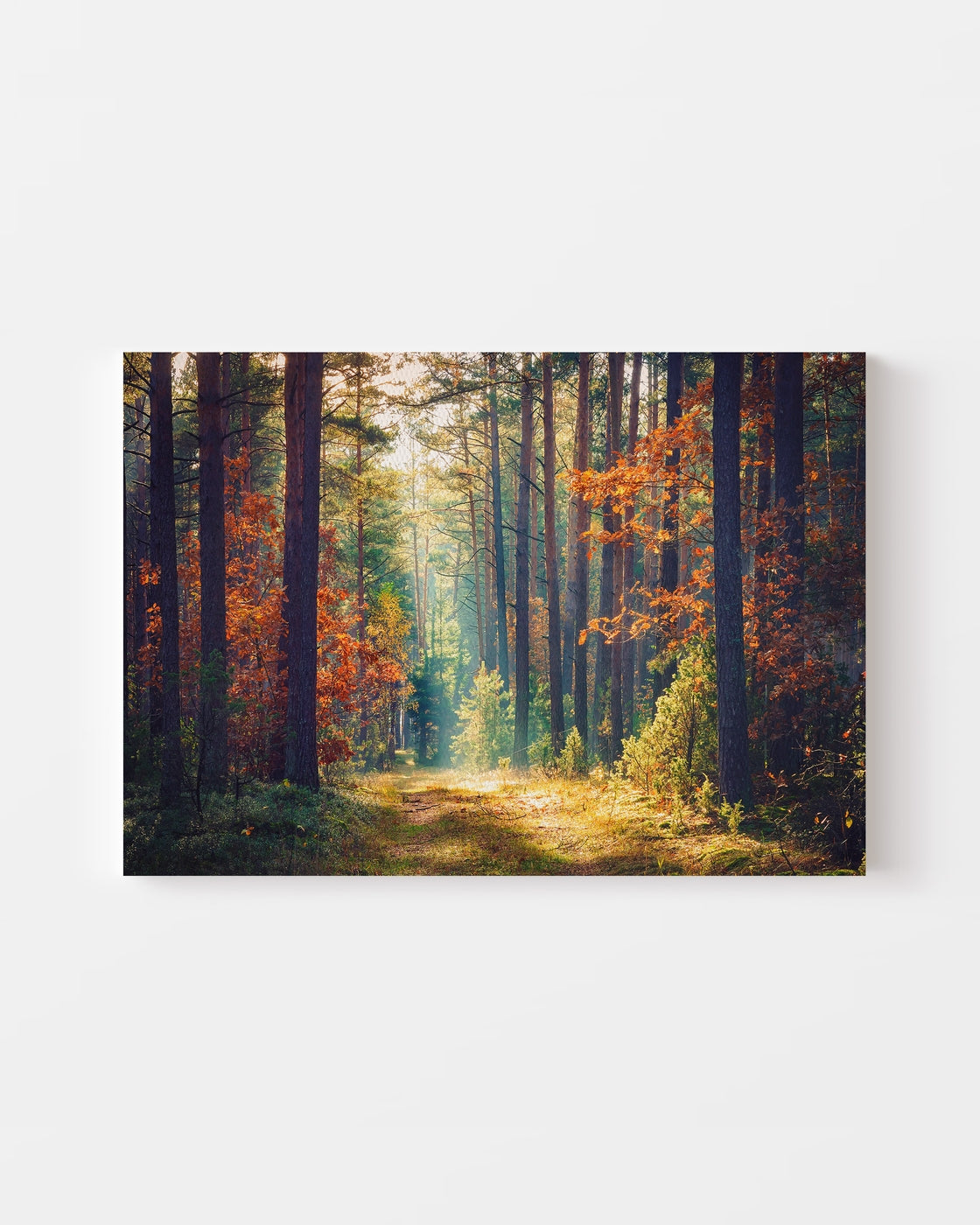 stretched-canvas