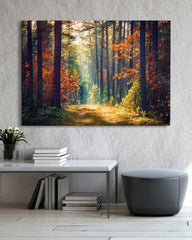 After Hover: Herbst im Wald