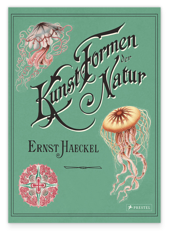 Ernst Haeckel - Kunstformen der Natur