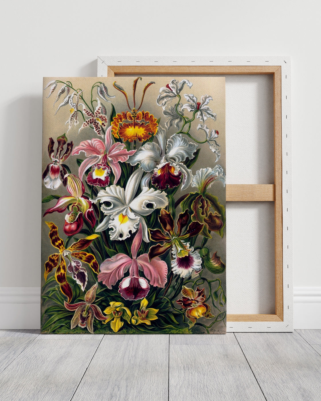 stretched-canvas