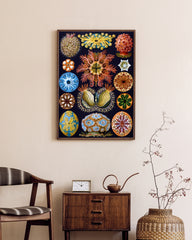 After Hover: Ernst Haeckel - Ascidian