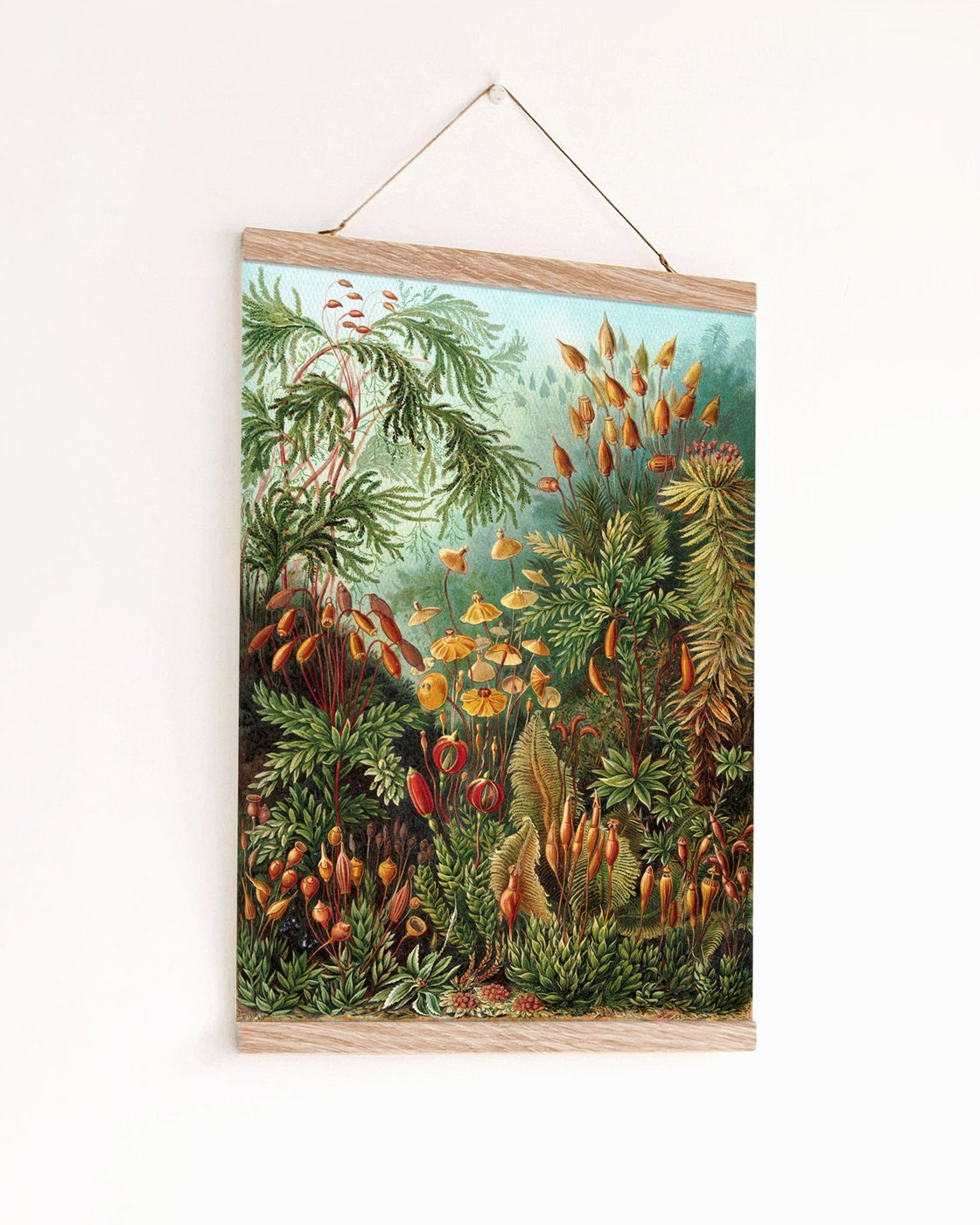 canvas