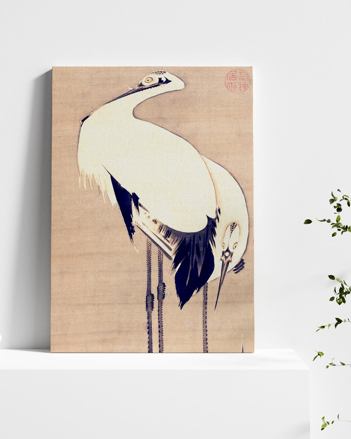 stretched-canvas