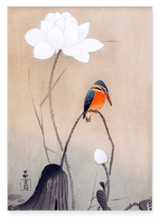 Ohara Koson - Eisvogel neben weißer Blüte