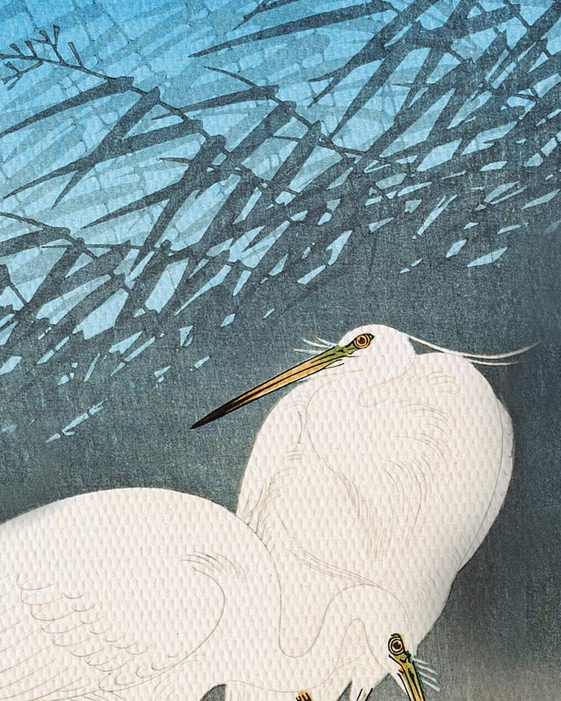 canvas