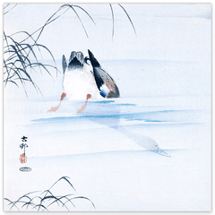 Ohara Koson - Tauchende Ente