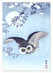 Ohara Koson - Eule bei Nacht