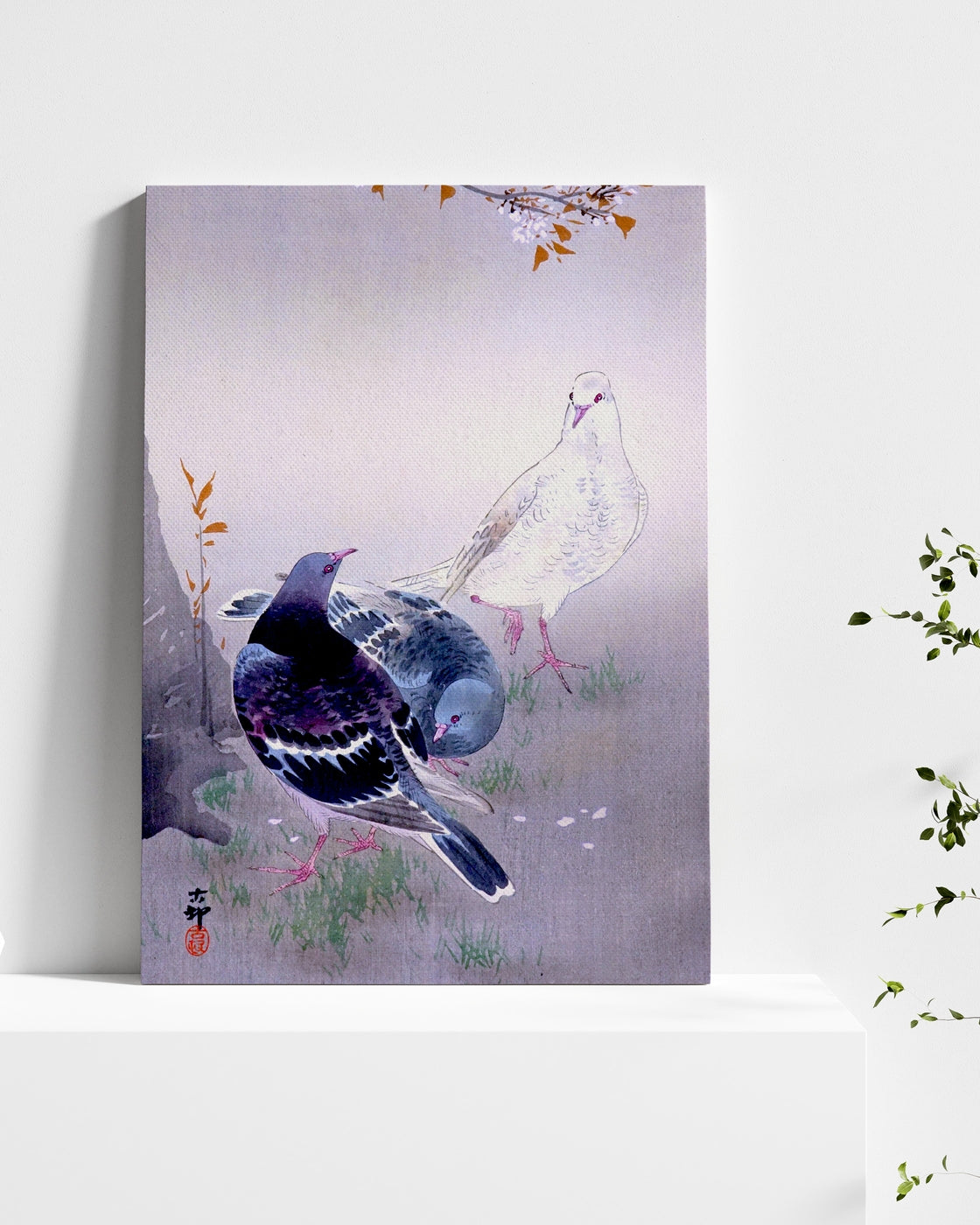 stretched-canvas